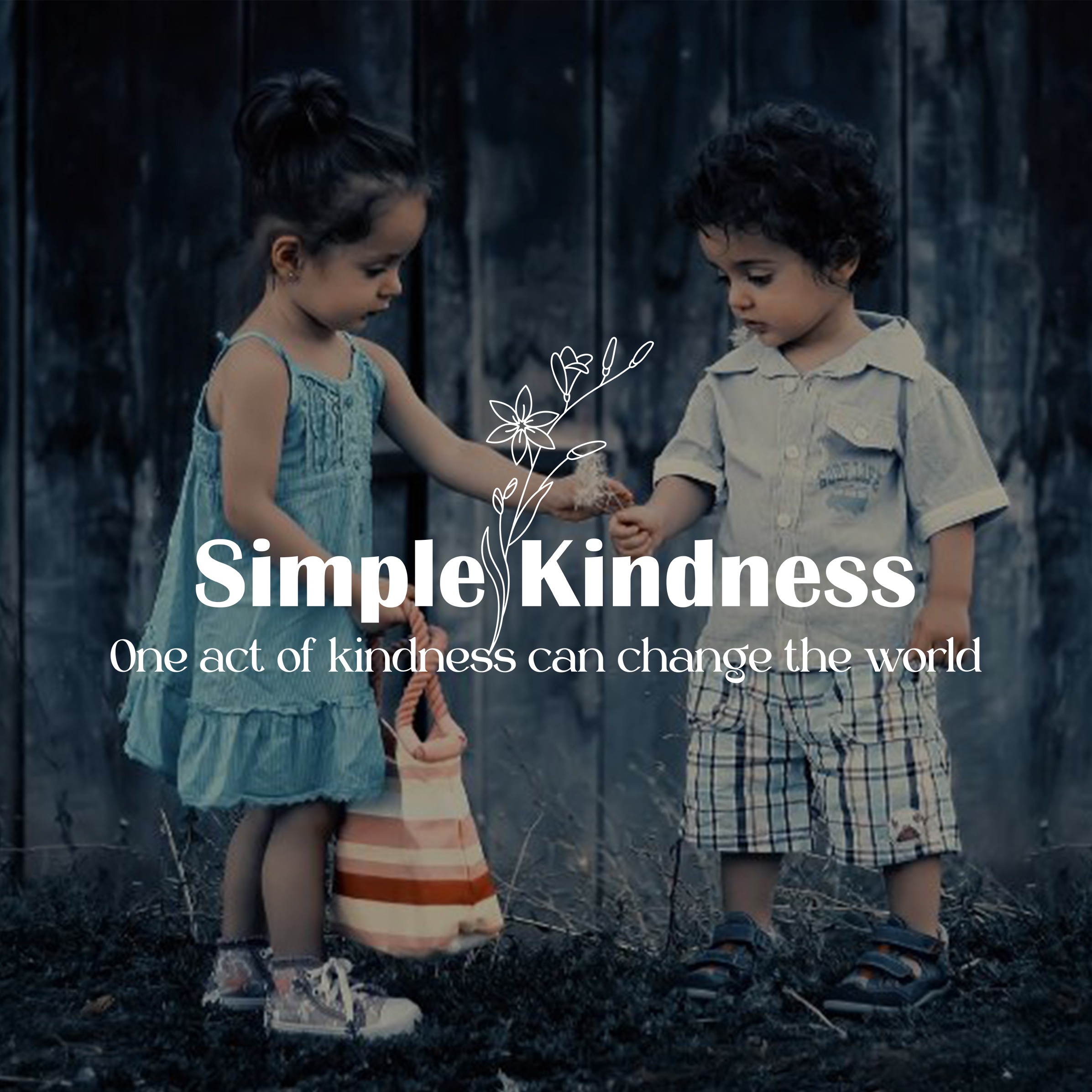 June 2024 Simple Kindness Updates